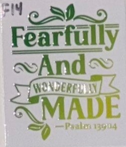 F14 Faith