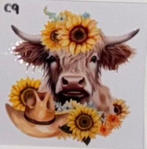C9 Cows