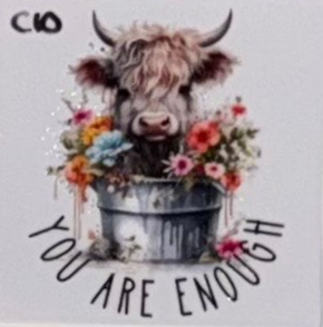 C10 Cows