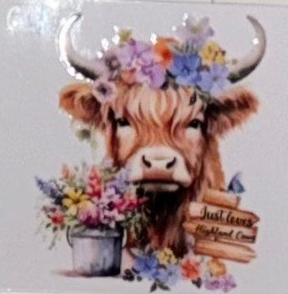 C3 Cows