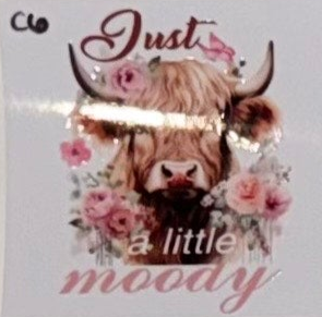 C6 Cows
