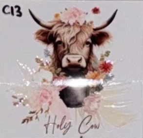 C13 Cows