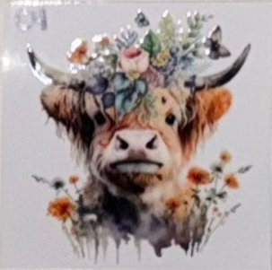 C4 Cows