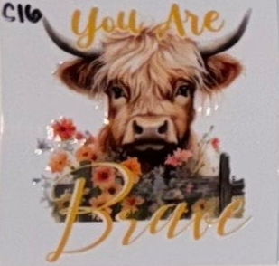 C16 Cows