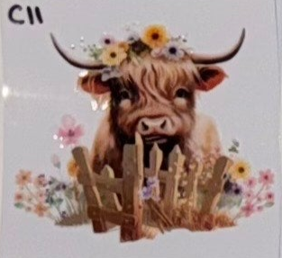 C11 Cows
