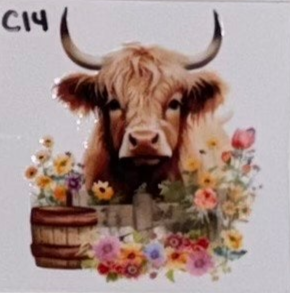 C14 Cows