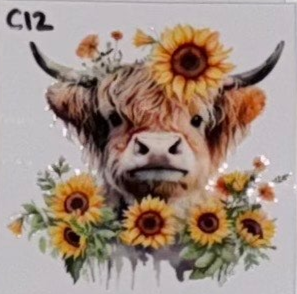 C12 Cows