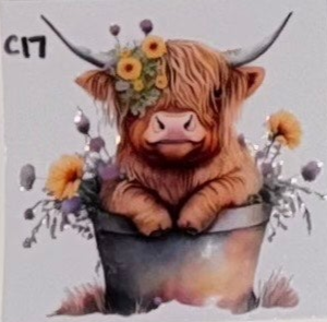 C17 Cows