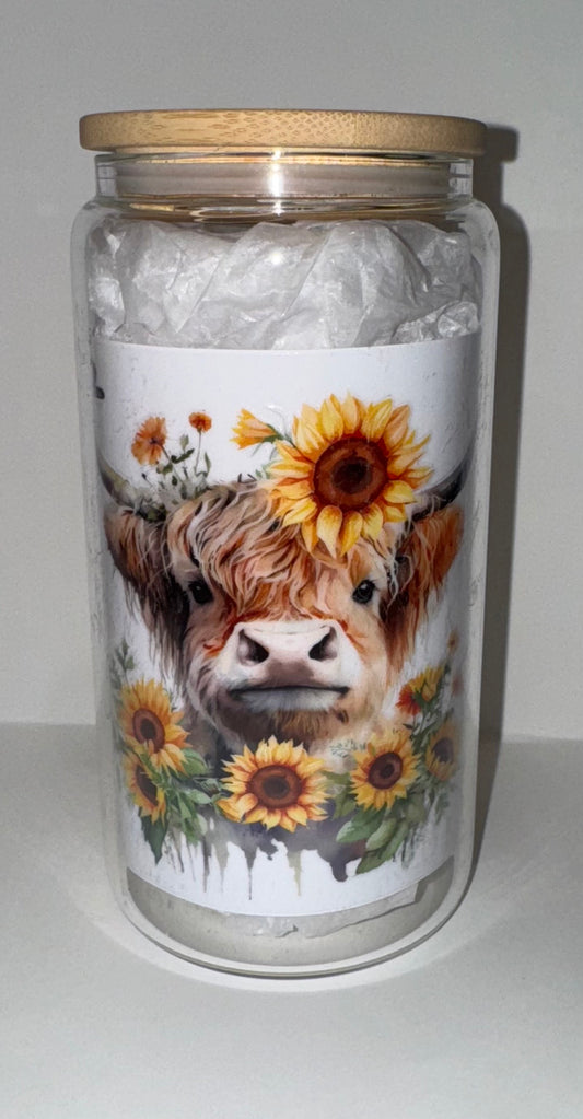 C12 Cows