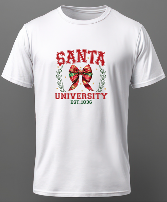 Santa University